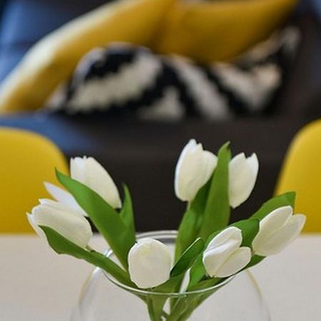 Mediterraneo Garden Apartments Petrcane Ruang foto
