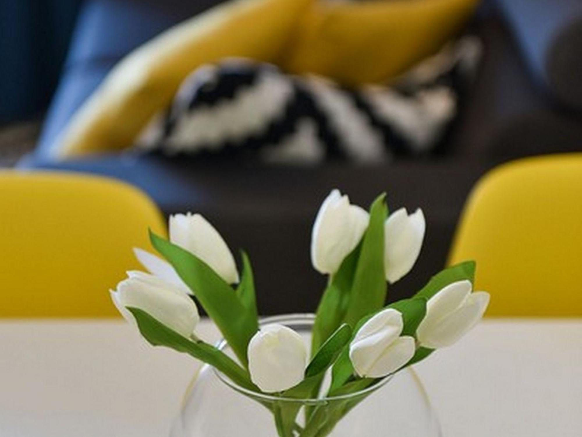 Mediterraneo Garden Apartments Petrcane Ruang foto